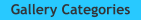 Gallery Categories
