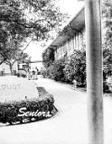 dorsey_1955_022