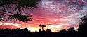 Sunset in Chandler